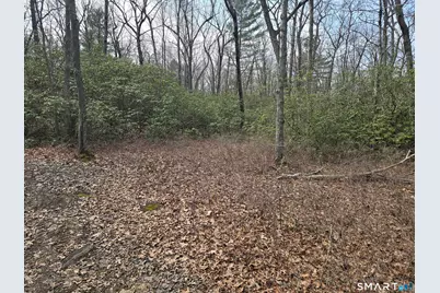 Pleasure Hill Road, Franklin, CT 06254 - Photo 6
