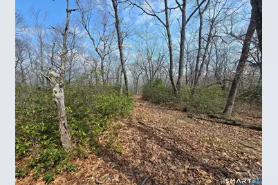 Pleasure Hill Road, Franklin, CT 06254 - Photo 12
