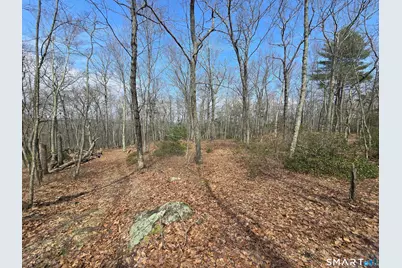 Pleasure Hill Road, Franklin, CT 06254 - Photo 22