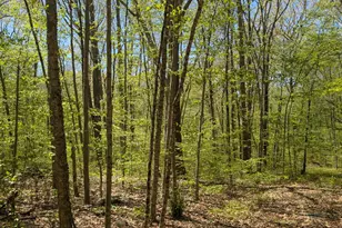 Englewood Trail, Coventry, CT 06238 - Photo 1