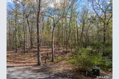 16 Josie Perkins Lane, Lyme, CT 06371 - Photo 2