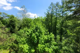 5 Essex Ct, Brookfield, CT 06804 - Photo 18