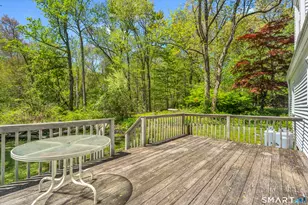 89 Lighthouse Rd, Woodbury, CT 06798 - Photo 32