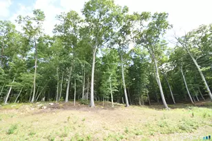 166 Boston Turnpike, Bolton, CT 06043 - Photo 14
