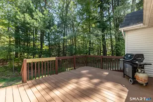 81 Oldefield Farms Rd, Enfield, CT 06082 - Photo 32