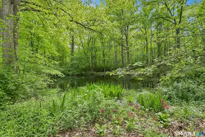 110 Chestnut Land Road, New Milford, CT 06776 - Photo 38