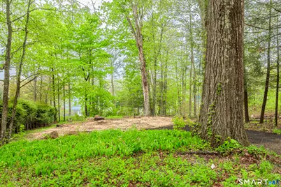 624 Wynne Road, Winchester, CT 06098 - Photo 6