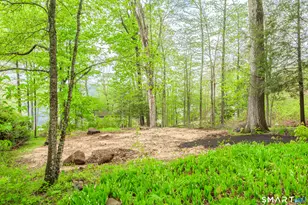 624 Wynne Rd, Winchester, CT 06098 - Photo 4