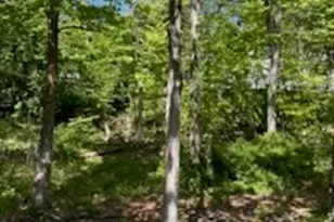 562 Swanson Crescent, Milford, CT 06461 - Photo 4