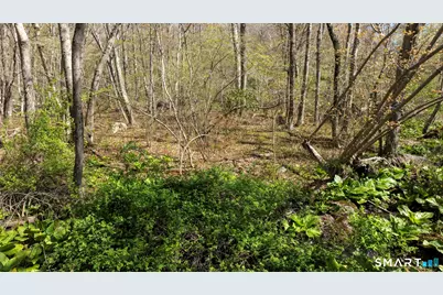 98 Braman Road, Waterford, CT 06385 - Photo 14