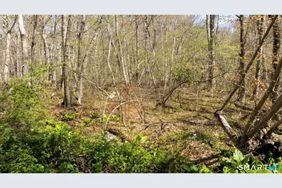 98 Braman Road, Waterford, CT 06385 - Photo 16
