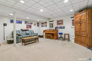 50 River View Ct, Cheshire, CT 06410 - Photo 30