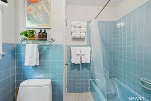 51 Cornell Rd, Danbury, CT 06811 - Photo 28