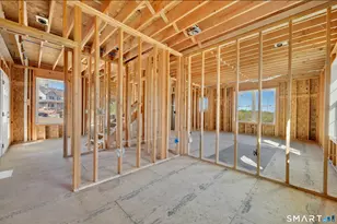 65 Saw Mill Rd, Burlington, CT 06013 - Photo 10