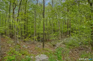 343 Hope Furnace Rd, Scituate RI, RI 02831 - Photo 26