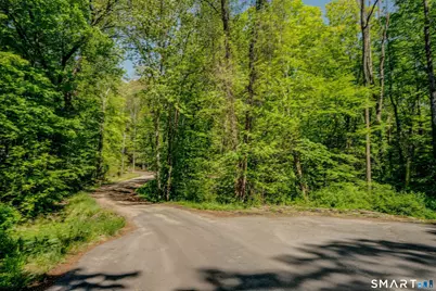 47 Stagecoach Run, East Hampton, CT 06424 - Photo 24
