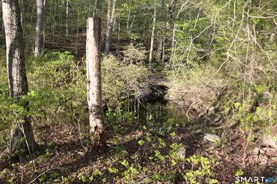 00 Mt. Tom Passway, Morris, CT 06763 - Photo 10