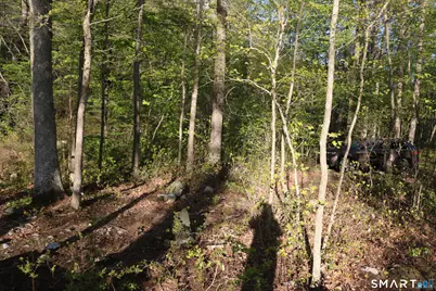 00 Mt. Tom Passway, Morris, CT 06763 - Photo 12