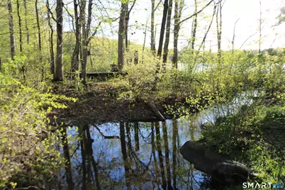 00 Mt. Tom Passway, Morris, CT 06763 - Photo 14