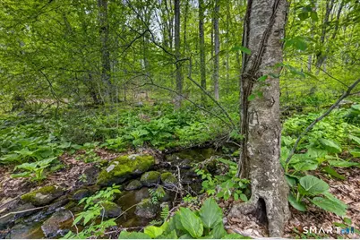 47 Water Lily Lane, Guilford, CT 06437 - Photo 34