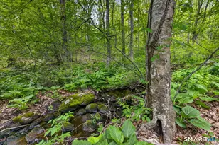 47 Water Lily Ln, Guilford, CT 06437 - Photo 34
