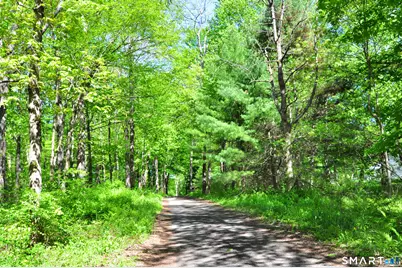 63 Shearer Road, Washington, CT 06793 - Photo 40