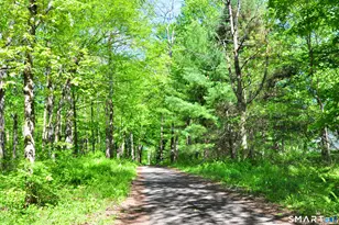 63 Shearer Rd, Washington, CT 06793 - Photo 40