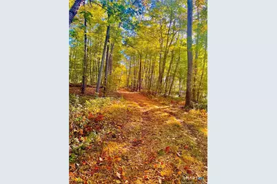 88-A Flat Rock Hill Road, Old Lyme, CT 06371 - Photo 2