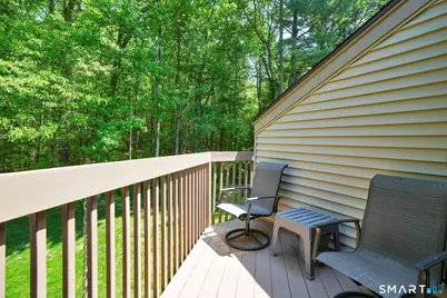 171 The Laurels #171, Enfield, CT 06082 - Photo 30