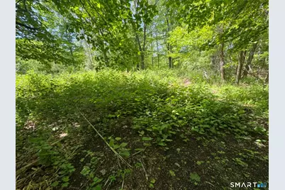 0 Wooster Street, Naugatuck, CT 06770 - Photo 6