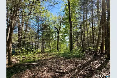 7 West Side Drive, Barkhamsted, CT 06063 - Photo 14