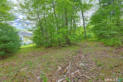142 Brown Road, Voluntown, CT 06384 - Photo 20