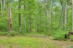 142 Brown Rd, Voluntown, CT 06384 - Photo 22