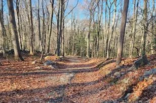 11 Judges Hollow Rd, Fairfield, CT 06824 - Photo 4