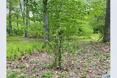 Meadow Brook Road, Hebron, CT 06231 - Photo 14