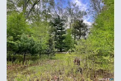 Meadow Brook Road, Hebron, CT 06231 - Photo 8