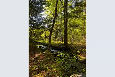 131 Stub Hollow Road, New Hartford, CT 06057 - Photo 2
