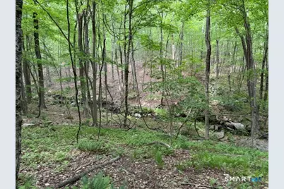 Lot10-B1 Foot Hills Road, Haddam, CT 06438 - Photo 12
