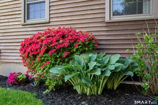 22 Elizabeth St, Trumbull, CT 06611 - Photo 20