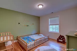 16 Tall Wood Dr, East Hampton, CT 06424 - Photo 28