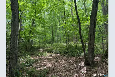 North Street, Plymouth, CT 06782 - Photo 6