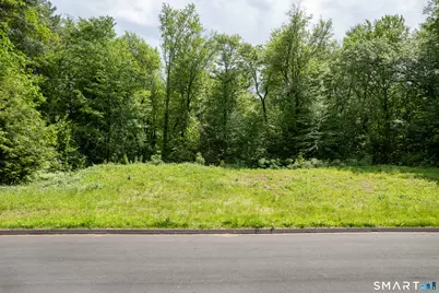 35A Therese Drive, Somers, CT 06071 - Photo 10