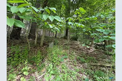 48 Lower River Road, Cornwall, CT 06796 - Photo 24