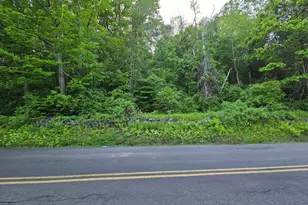 33 Davis Rd, Harwinton, CT 06791 - Photo 12