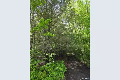 Davis Road, Harwinton, CT 06791 - Photo 4