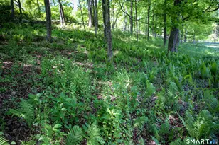 131 Rte 39 Rd, Sherman, CT 06784 - Photo 32