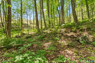 321 Colebrook Road, Winchester, CT 06098 - Photo 28
