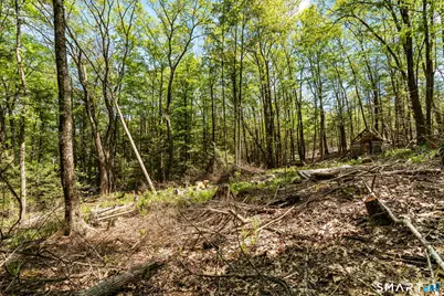 321 Colebrook Road, Winchester, CT 06098 - Photo 16