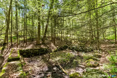 321 Colebrook Road, Winchester, CT 06098 - Photo 34