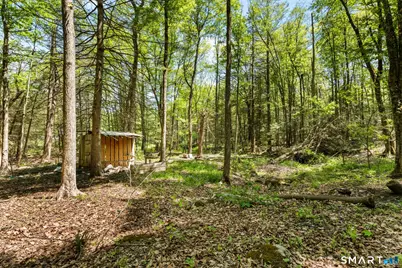 321 Colebrook Road, Winchester, CT 06098 - Photo 10